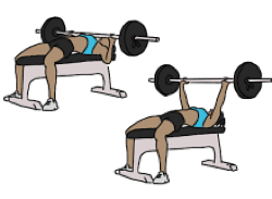 fitness (2)